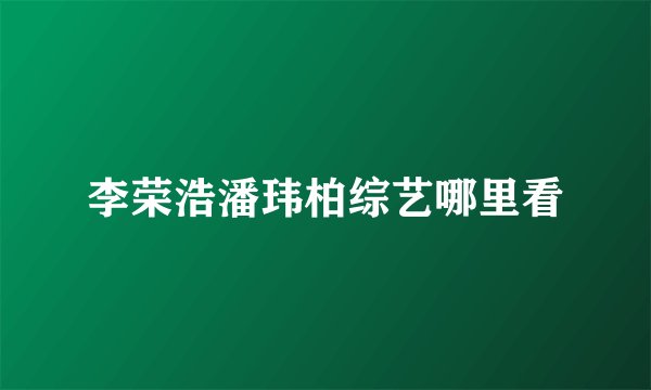 李荣浩潘玮柏综艺哪里看