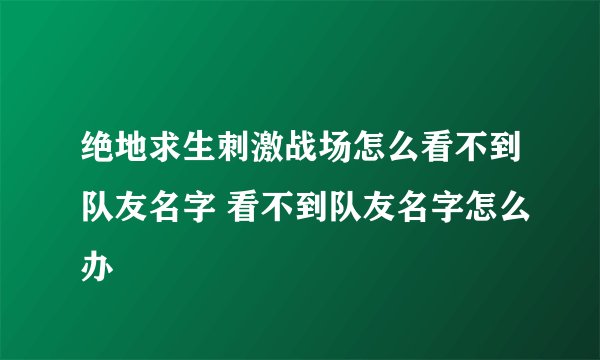 绝地求生刺激战场怎么看不到队友名字 看不到队友名字怎么办