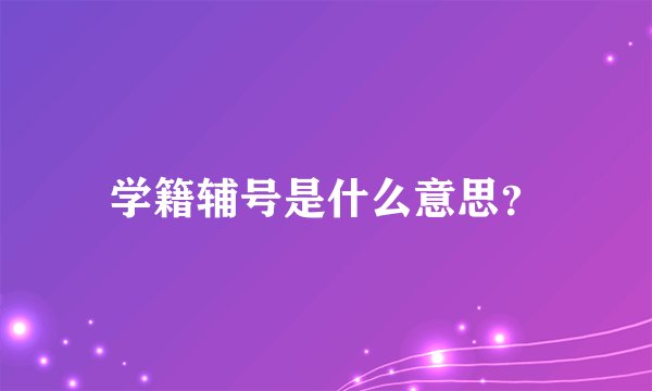 学籍辅号是什么意思？