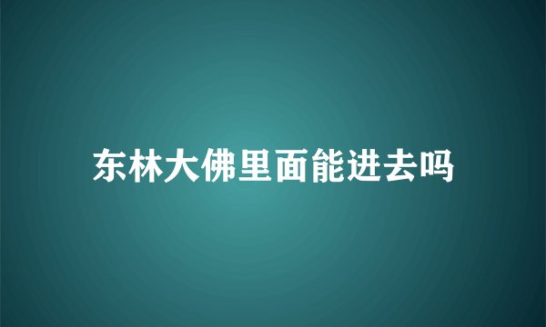东林大佛里面能进去吗