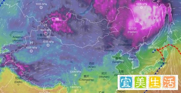 紫色极地涡旋南下扰动,大范围雨雪将重启,小寒开始:三九或湿冷