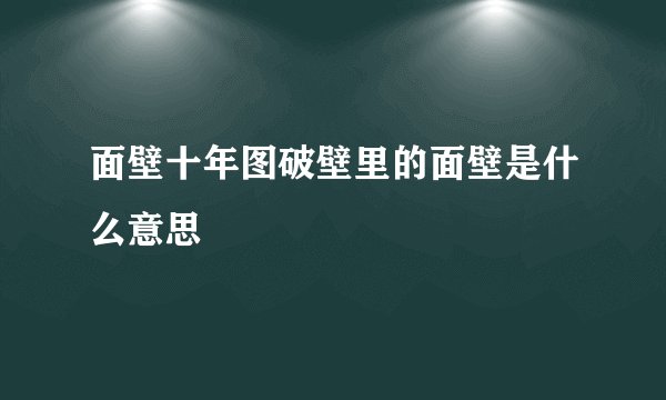 面壁十年图破壁里的面壁是什么意思