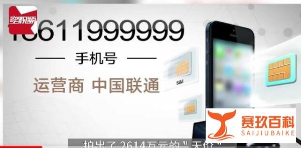 花2614万拍下一个手机号,事后称拍错了,法院:后果很严重