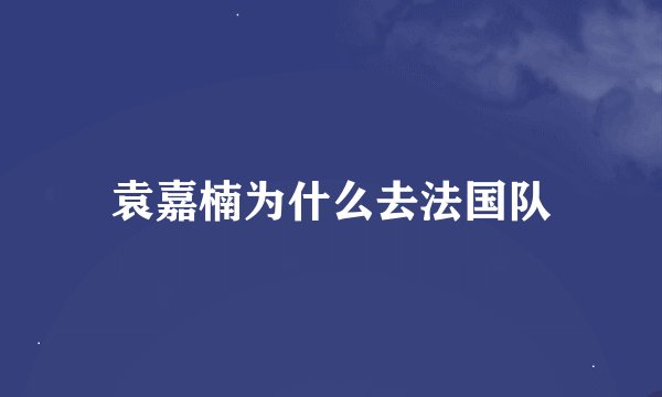袁嘉楠为什么去法国队