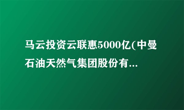 马云投资云联惠5000亿(中曼石油天然气集团股份有限公司)