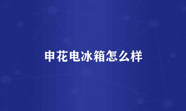 申花电冰箱怎么样