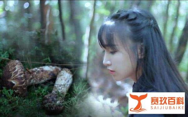看了这么久的抖音，才发现李子柒的成功居然可以复制