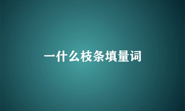 一什么枝条填量词