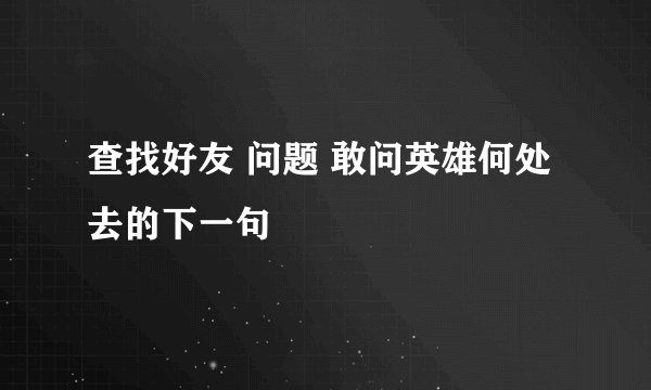 查找好友 问题 敢问英雄何处去的下一句