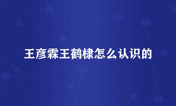 王彦霖王鹤棣怎么认识的