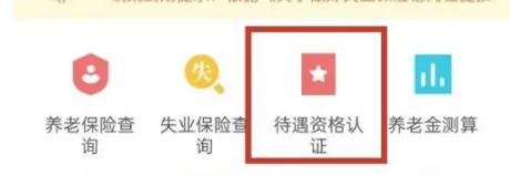 河北人社认证怎么操作