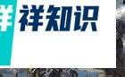 时空裂痕职业介绍四大职业定位方法