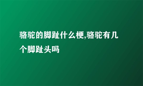 骆驼的脚趾什么梗,骆驼有几个脚趾头吗