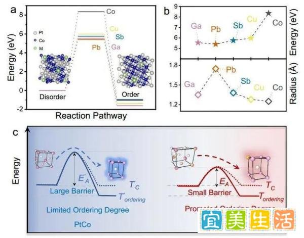 中科大梁海伟等Nature子刊:Ga-PtCo IMCs助力燃料电池发展!