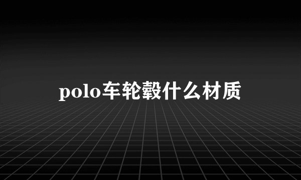 polo车轮毂什么材质