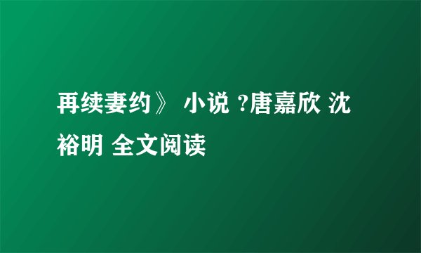 再续妻约》 小说 ?唐嘉欣 沈裕明 全文阅读