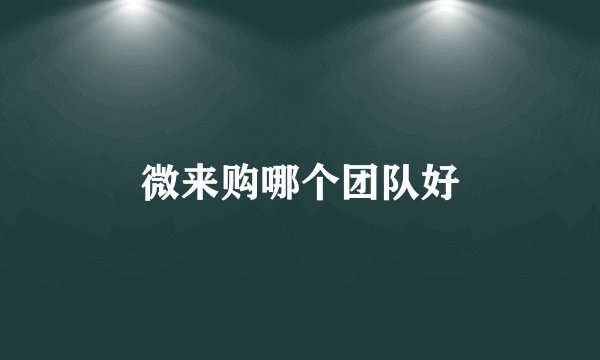 微来购哪个团队好
