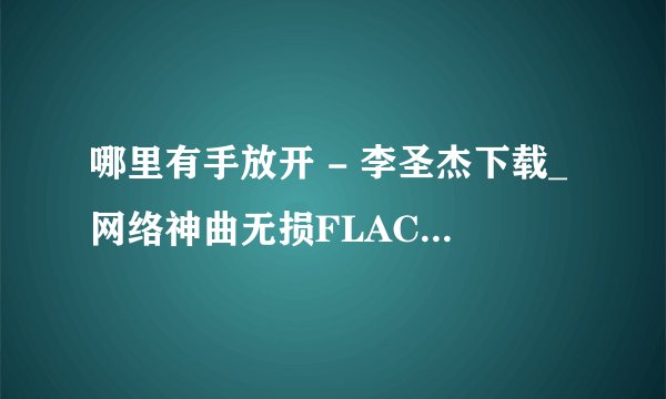 哪里有手放开 - 李圣杰下载_网络神曲无损FLAC_歌词LRC完整版MP3.mp3音乐歌曲