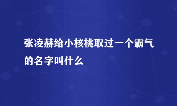 张凌赫给小核桃取过一个霸气的名字叫什么