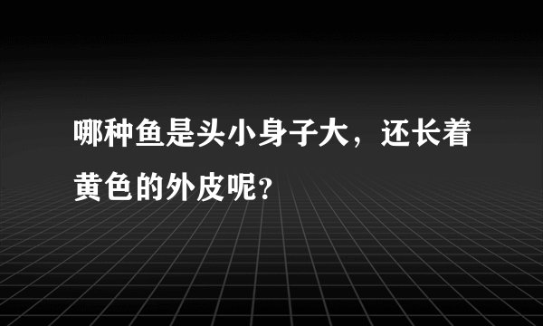 哪种鱼是头小身子大，还长着黄色的外皮呢？