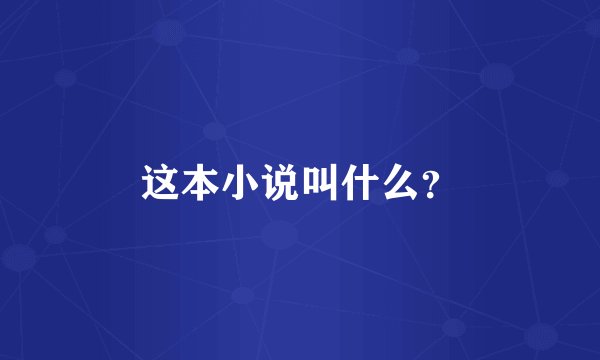 这本小说叫什么？