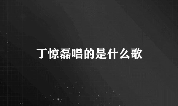 丁惊磊唱的是什么歌