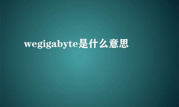 wegigabyte是什么意思