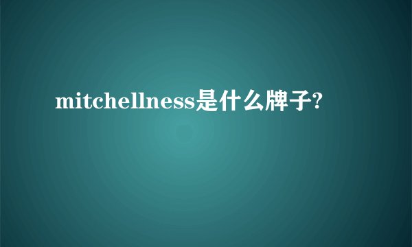 mitchellness是什么牌子?