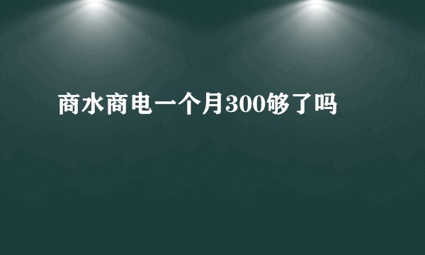 商水商电一个月300够了吗