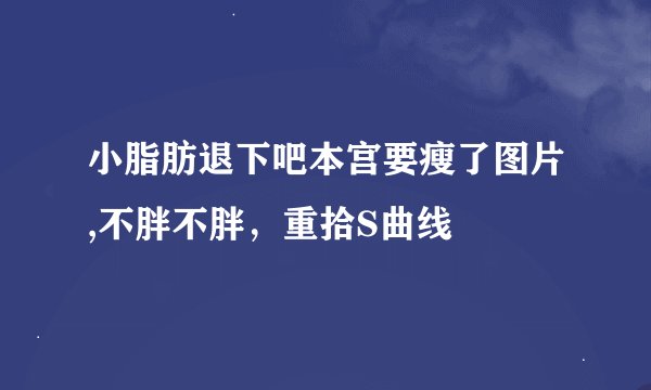 小脂肪退下吧本宫要瘦了图片,不胖不胖,重拾S曲线