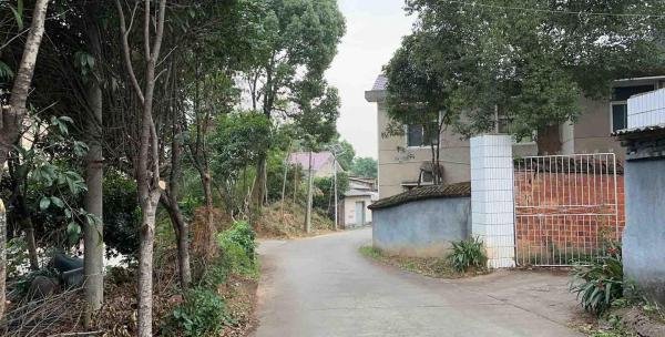 “欠一百多万，杀一家人”：长沙一家最后的痕迹