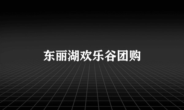 东丽湖欢乐谷团购