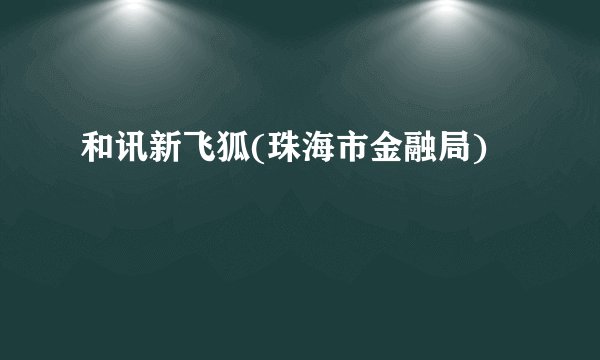 和讯新飞狐(珠海市金融局)