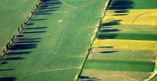 什么的田野填空词语有哪些 什么的田野填空词语有哪些