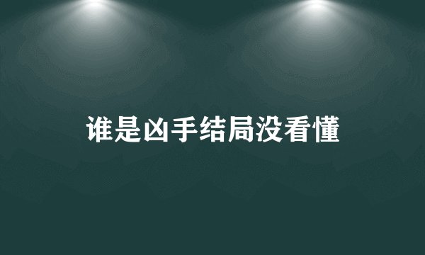 谁是凶手结局没看懂
