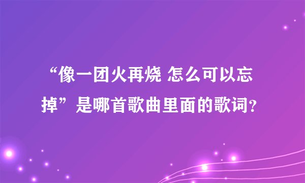 “像一团火再烧 怎么可以忘掉”是哪首歌曲里面的歌词？