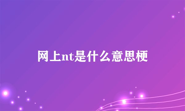 网上nt是什么意思梗