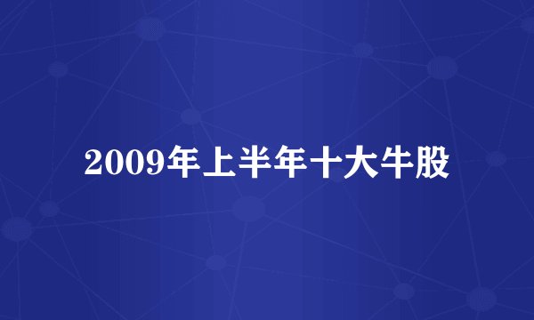 2009年上半年十大牛股