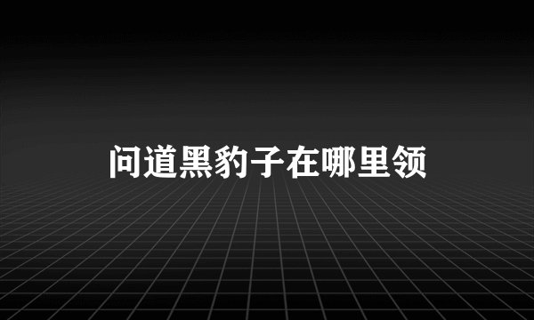 问道黑豹子在哪里领