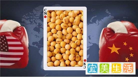 乌克兰禁止出口小麦等主食,对世界粮食安全是毁灭性打击?
