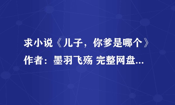 求小说《儿子，你爹是哪个》作者：墨羽飞殇 完整网盘链接下载