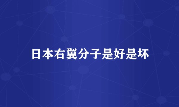 日本右翼分子是好是坏