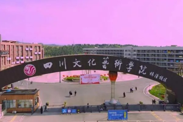 四川文化艺术学院校考合格分数线是多少?