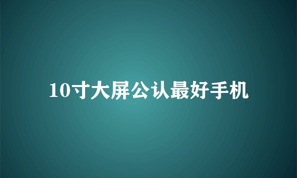 10寸大屏公认最好手机