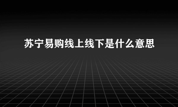苏宁易购线上线下是什么意思