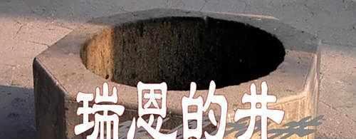 课文瑞恩的井主要内容是什么