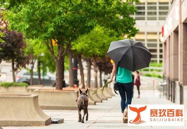 6月新规来了！已经开始影响你的生活……