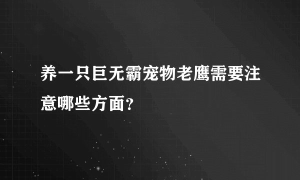 养一只巨无霸宠物老鹰需要注意哪些方面？