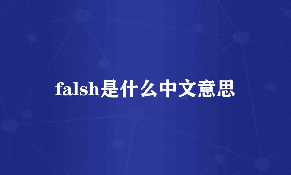 falsh是什么中文意思
