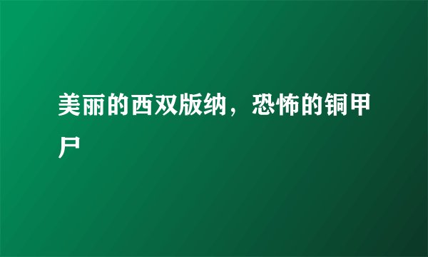 美丽的西双版纳,恐怖的铜甲尸